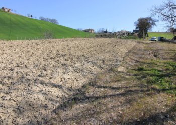 Foto 10 - Terreno agricolo via del mulino, Montottone - foto 10