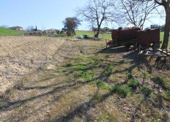 Foto 11 - Terreno agricolo via del mulino, Montottone - foto 11