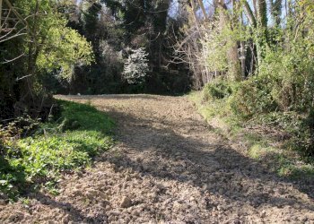 Foto 20 - Terreno agricolo via del mulino, Montottone - foto 20