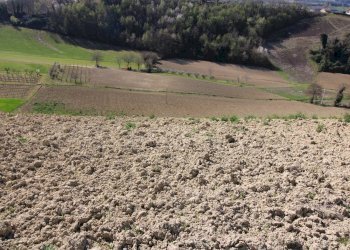 Foto 24 - Terreno agricolo via del mulino, Montottone - foto 24