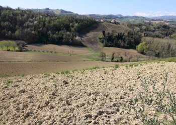 Foto 25 - Terreno agricolo via del mulino, Montottone - foto 25