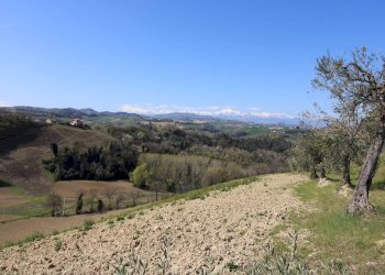 Foto 26 - Terreno agricolo via del mulino, Montottone - foto 26