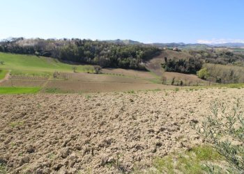 Foto 27 - Terreno agricolo via del mulino, Montottone - foto 27