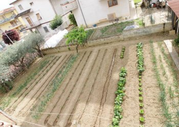 Foto 14 - Independent house via ugo foscolo, Monsampolo del Tronto - photo 14