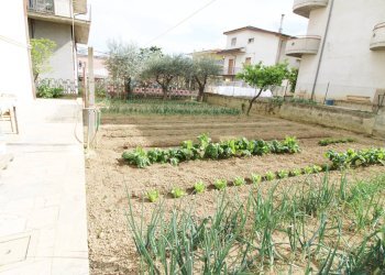 Foto 34 - Independent house via ugo foscolo, Monsampolo del Tronto - photo 34