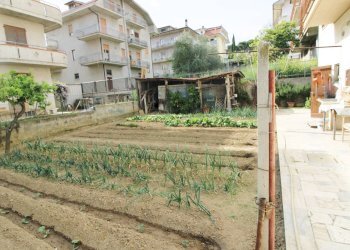 Foto 36 - Independent house via ugo foscolo, Monsampolo del Tronto - photo 36