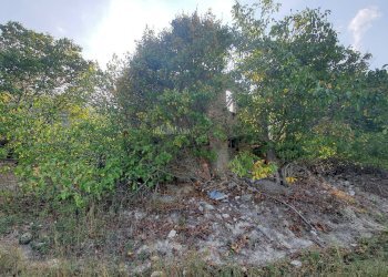 Foto 1 - Rustico Contrada Messieri, Ripatransone - foto 1