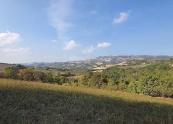 Foto 2 - Rustico Contrada Messieri, Ripatransone - foto 2