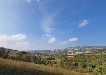 Foto 3 - Rustico Contrada Messieri, Ripatransone - foto 3