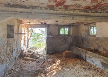 Foto 5 - Rustico Contrada Messieri, Ripatransone - foto 5