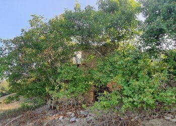 Foto 6 - Rustico Contrada Messieri, Ripatransone - foto 6