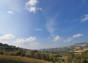 Foto 7 - Rustico Contrada Messieri, Ripatransone - foto 7