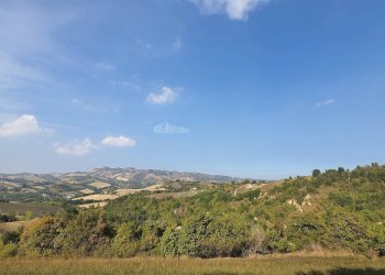 Foto 8 - Rustico Contrada Messieri, Ripatransone - foto 8