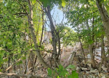 Foto 9 - Rustico Contrada Messieri, Ripatransone - foto 9