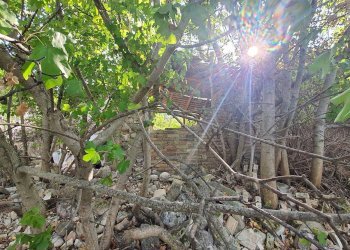 Foto 11 - Rustico Contrada Messieri, Ripatransone - foto 11