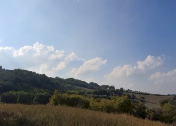 Foto 12 - Rustico Contrada Messieri, Ripatransone - foto 12