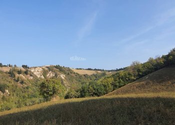 Foto 14 - Rustico Contrada Messieri, Ripatransone - foto 14