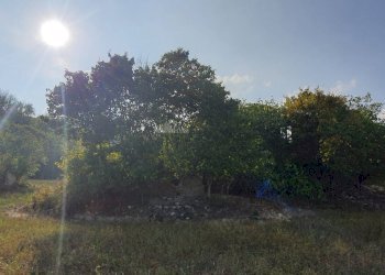 Foto 15 - Rustico Contrada Messieri, Ripatransone - foto 15