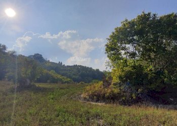 Foto 17 - Rustico Contrada Messieri, Ripatransone - foto 17