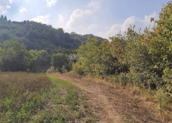 Foto 18 - Rustico Contrada Messieri, Ripatransone - foto 18