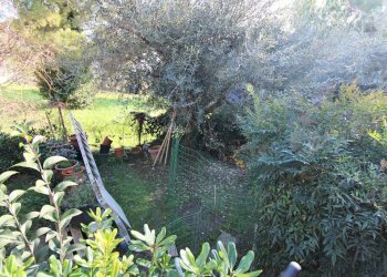 Foto 55 - Independent house via nino bixio
 
32, Monsampolo del Tronto - photo 55