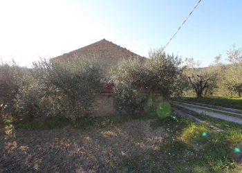 Foto 5 - Rustico via valle apparignano, Acquaviva Picena - foto 5