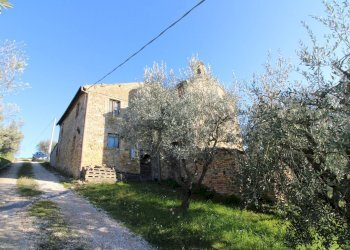 Foto 8 - Rustico via valle apparignano, Acquaviva Picena - foto 8