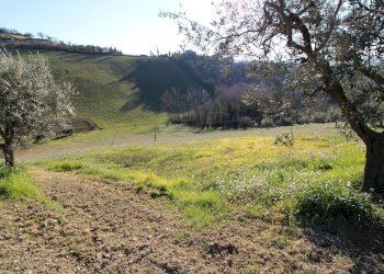 Foto 13 - Rustico via valle apparignano, Acquaviva Picena - foto 13