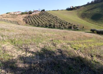 Foto 16 - Rustico via valle apparignano, Acquaviva Picena - foto 16