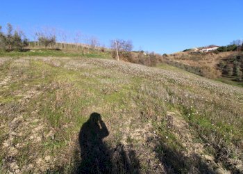 Foto 18 - Rustico via valle apparignano, Acquaviva Picena - foto 18