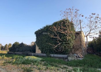 Foto 4 - Casa indipendente Contrada isola Ovest, Monteprandone - foto 4