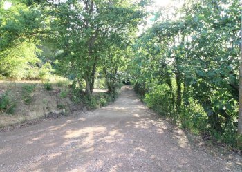 Foto 7 - Rustico contrada aso, Montefiore dell'Aso - foto 7