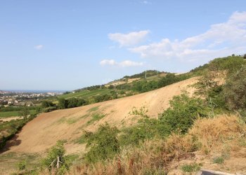 Foto 13 - Rustico contrada aso, Montefiore dell'Aso - foto 13