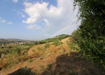 Foto 16 - Rustico contrada aso, Montefiore dell'Aso - foto 16