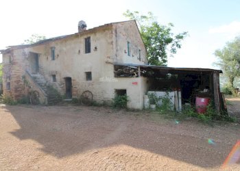 Foto 19 - Rustico contrada aso, Montefiore dell'Aso - foto 19