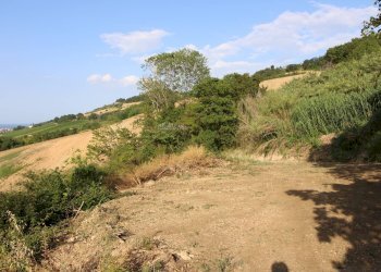 Foto 20 - Rustico contrada aso, Montefiore dell'Aso - foto 20