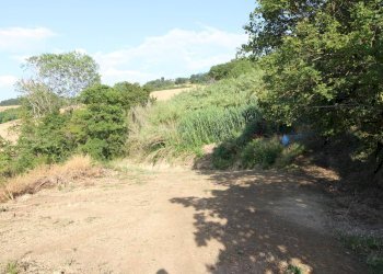 Foto 21 - Rustico contrada aso, Montefiore dell'Aso - foto 21