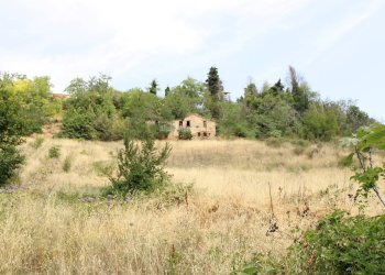 Foto 5 - Rustico via acquarola, Ripatransone - foto 5