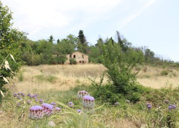 Foto 6 - Rustico via acquarola, Ripatransone - foto 6