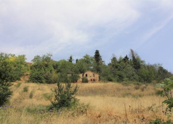 Foto 7 - Rustico via acquarola, Ripatransone - foto 7