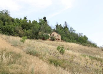 Foto 8 - Rustico via acquarola, Ripatransone - foto 8