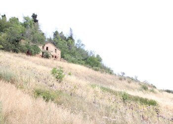 Foto 9 - Rustico via acquarola, Ripatransone - foto 9