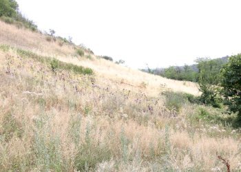 Foto 10 - Rustico via acquarola, Ripatransone - foto 10