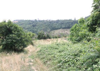 Foto 11 - Rustico via acquarola, Ripatransone - foto 11