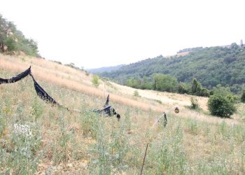 Foto 12 - Rustico via acquarola, Ripatransone - foto 12