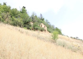 Foto 15 - Rustico via acquarola, Ripatransone - foto 15