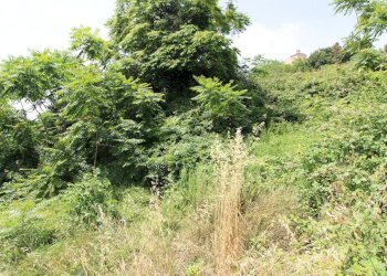 Foto 16 - Rustico via acquarola, Ripatransone - foto 16