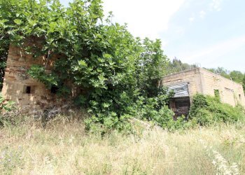 Foto 7 - Rustico via acquarola, Ripatransone - foto 7