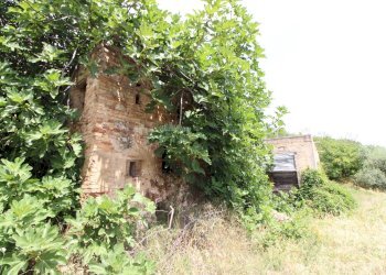 Foto 23 - Rustico via acquarola, Ripatransone - foto 23