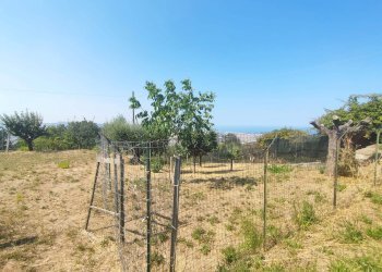 Foto 2 - Terreno edificabile via fonte ottone, Colonnella - foto 2